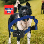 Bark Training Collars