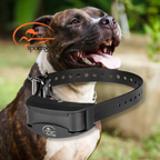SportDog