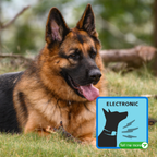 Electric Bark Collars