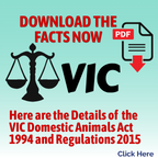 VIC Dangerous Dog Act & Straps