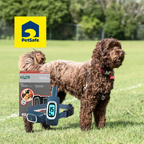 PetSafe