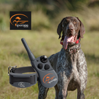 SportDog