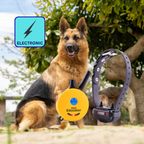 Electric Dog Trainer