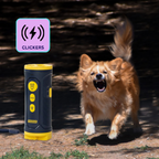 Sonic Dog Trainer